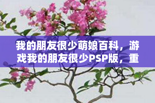 我的朋友很少萌娘百科，游戏我的朋友很少PSP版，重温经典，感受友情的力量