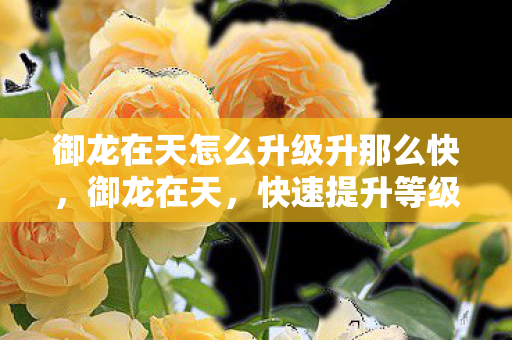 御龙在天怎么升级升那么快,御龙在天,快速提升等级攻略 御龙在天怎么升级升那么快,御龙在天,快速提升等级攻略
