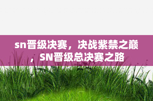 sn晋级决赛,决战紫禁之巅,SN晋级总决赛之路 sn晋级决赛,决战紫禁之巅,SN晋级总决赛之路