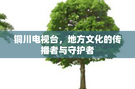 铜川电视台,地方文化的传播者与守护者 铜川电视台,地方文化的传播者与守护者