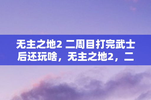 无主之地2 二周目打完武士后还玩啥,无主之地2,二周目的无尽探索与收获 无主之地2 二周目打完武士后还玩啥,无主之地2,二周目的无尽探索与收获