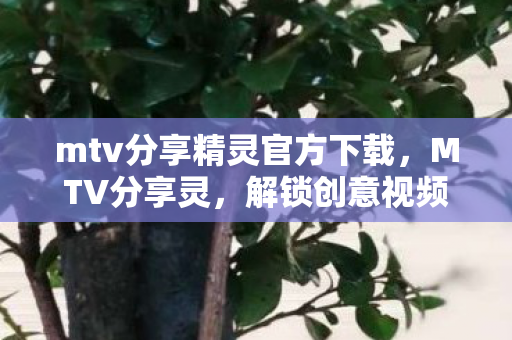 mtv分享精灵官方下载，MTV分享灵，解锁创意视频编辑新境界