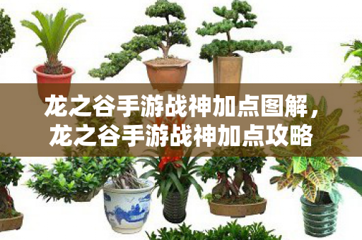 龙之谷手游战神加点图解,龙之谷手游战神加点攻略 龙之谷手游战神加点图解,龙之谷手游战神加点攻略
