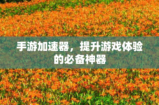 手游加速器,提升游戏体验的必备神器 手游加速器,提升游戏体验的必备神器