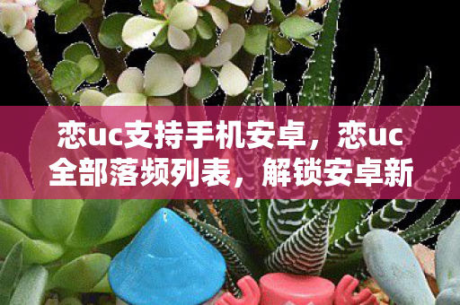 恋uc支持手机安卓，恋uc全部落频列表，解锁安卓新体验
