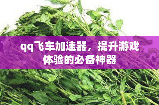 qq飞车加速器,提升游戏体验的必备神器 qq飞车加速器,提升游戏体验的必备神器