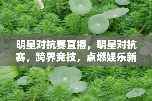 明星对抗赛直播，明星对抗赛，跨界竞技，点燃娱乐新火花
