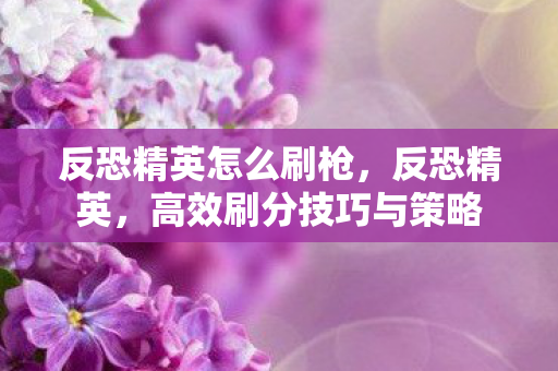 反恐精英怎么刷枪，反恐精英，高效刷分技巧与策略