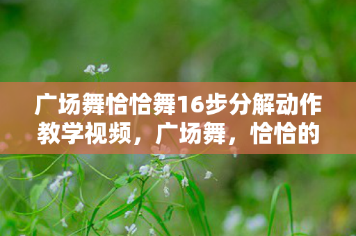 广场舞恰恰舞16步分解动作教学视频,广场舞,恰恰的律动与社区文化的融合 广场舞恰恰舞16步分解动作教学视频,广场舞,恰恰的律动与社区文化的融合