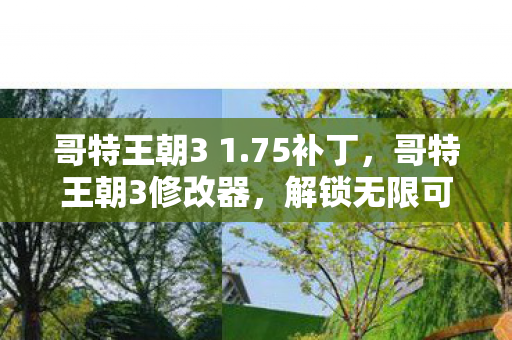 哥特王朝3 1.75补丁,哥特王朝3修改器,解锁无限可能的冒险之旅 哥特王朝3 1.75补丁,哥特王朝3修改器,解锁无限可能的冒险之旅