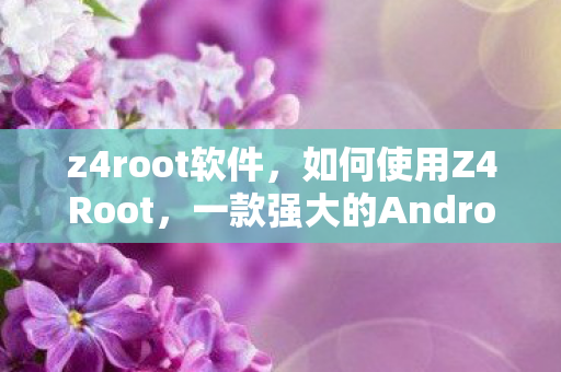 z4root软件，如何使用Z4Root，一款强大的Android Root工具