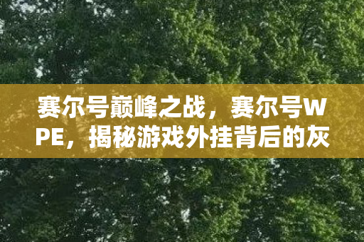 赛尔号巅峰之战,赛尔号WPE,揭秘游戏外挂背后的灰色世界 赛尔号巅峰之战,赛尔号WPE,揭秘游戏外挂背后的灰色世界