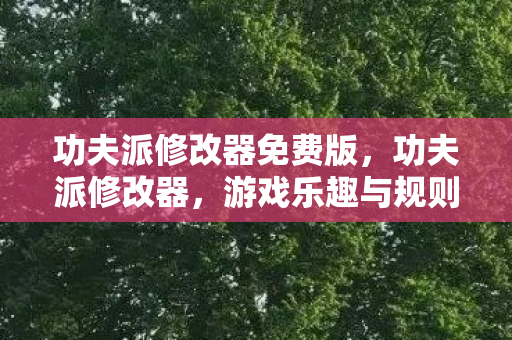 功夫派修改器免费版，功夫派修改器，游戏乐趣与规则的边界