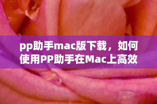 pp助手mac版下载,如何使用PP助手在Mac上高效管理你的移动应用 pp助手mac版下载,如何使用PP助手在Mac上高效管理你的移动应用