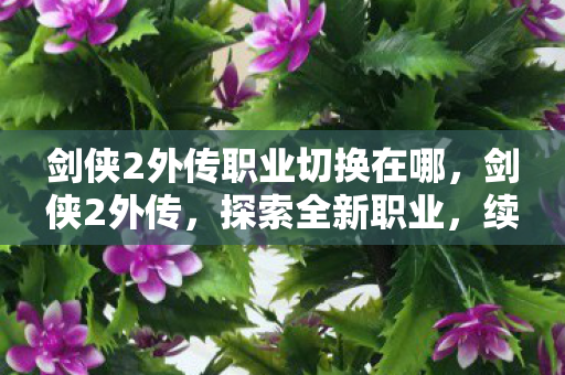 剑侠2外传职业切换在哪，剑侠2外传，探索全新职业，续写江湖传奇