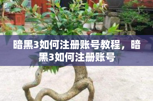 暗黑3如何注册账号教程，暗黑3如何注册账号