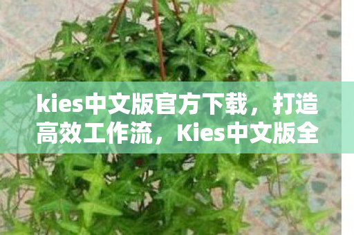 kies中文版官方下载，打造高效工作流，Kies中文版全解析
