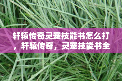 轩辕传奇灵宠技能书怎么打，轩辕传奇，灵宠技能书全解析