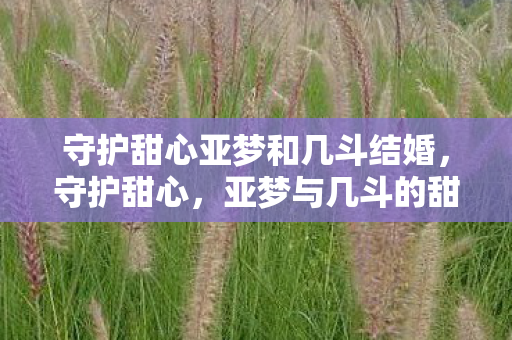 守护甜心亚梦和几斗结婚，守护甜心，亚梦与几斗的甜蜜羁绊