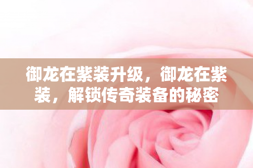 御龙在紫装升级,御龙在紫装,解锁传奇装备的秘密 御龙在紫装升级,御龙在紫装,解锁传奇装备的秘密