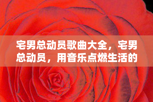 宅男总动员歌曲大全,宅男总动员,用音乐点燃生活的激情 宅男总动员歌曲大全,宅男总动员,用音乐点燃生活的激情