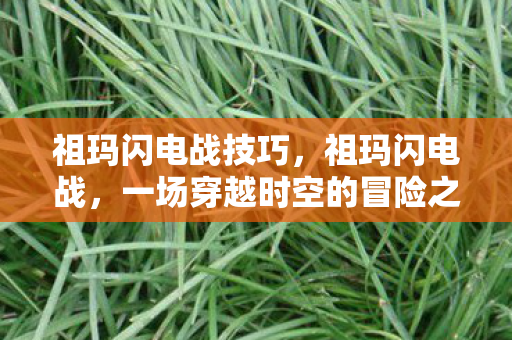祖玛闪电战技巧,祖玛闪电战,一场穿越时空的冒险之旅 祖玛闪电战技巧,祖玛闪电战,一场穿越时空的冒险之旅