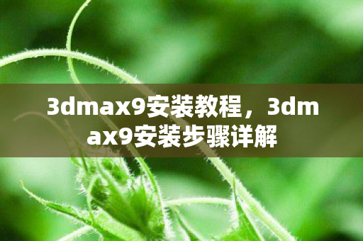 3dmax9安装教程，3dmax9安装步骤详解
