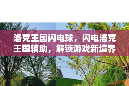 洛克王国闪电球，闪电洛克王国辅助，解锁游戏新境界的神奇工具