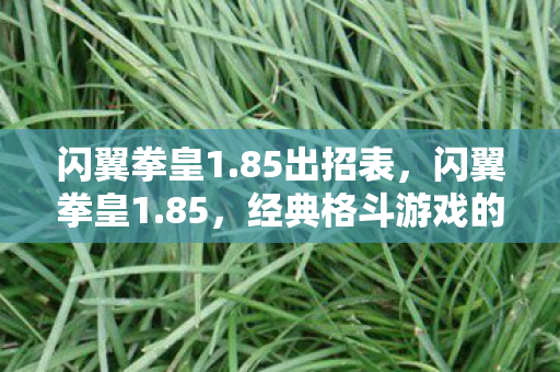 闪翼拳皇1.85出招表，闪翼拳皇1.85，经典格斗游戏的全新升级