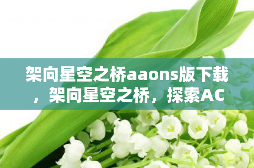 架向星空之桥aaons版下载，架向星空之桥，探索ACG文化的无限可能
