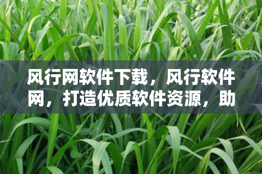 风行网软件下载,风行软件网,打造优质软件资源,助力数字生活 风行网软件下载,风行软件网,打造优质软件资源,助力数字生活
