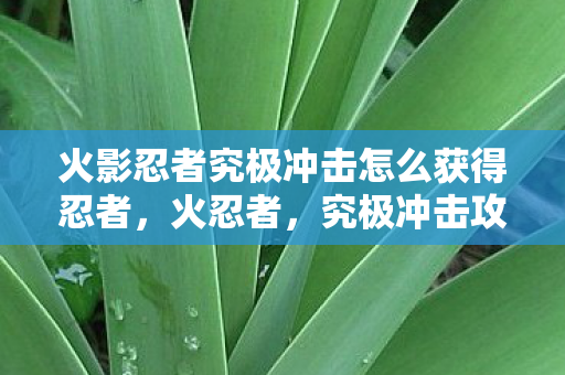火影忍者究极冲击怎么获得忍者,火忍者,究极冲击攻略 火影忍者究极冲击怎么获得忍者,火忍者,究极冲击攻略