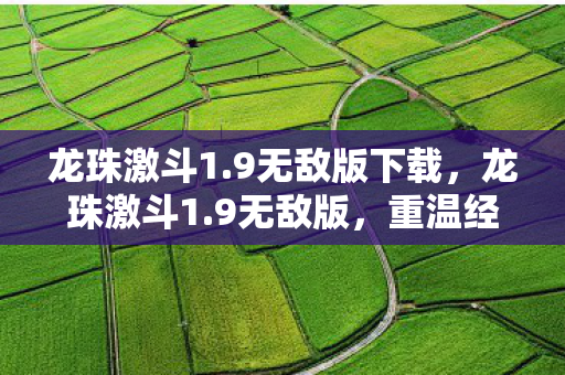 龙珠激斗1.9无敌版下载，龙珠激斗1.9无敌版，重温经典，挑战极限