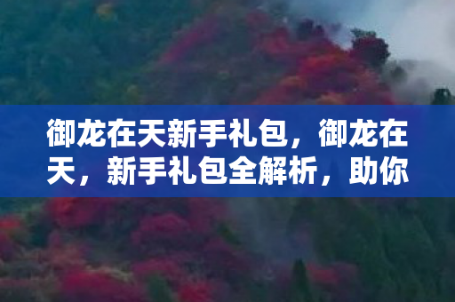 御龙在天新手礼包,御龙在天,新手礼包全解析,助你快速启程 御龙在天新手礼包,御龙在天,新手礼包全解析,助你快速启程