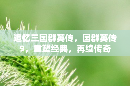 追忆三国群英传，国群英传9，重塑经典，再续传奇