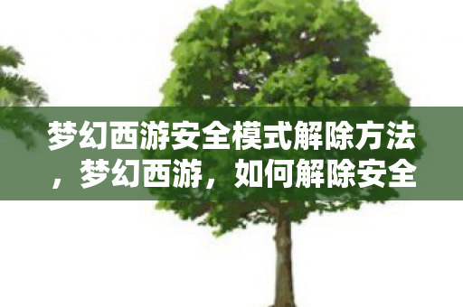 梦幻西游安全模式解除方法,梦幻西游,如何解除安全模式? 梦幻西游安全模式解除方法,梦幻西游,如何解除安全模式?