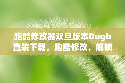 跑酷修改器双旦版本Dugb直装下载，跑酷修改，解锁城市新玩法，挑战自我极限