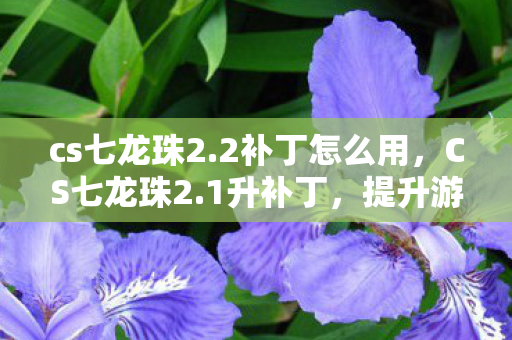 cs七龙珠2.2补丁怎么用,CS七龙珠2.1升补丁,提升游戏体验的必备利器 cs七龙珠2.2补丁怎么用,CS七龙珠2.1升补丁,提升游戏体验的必备利器