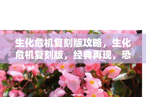 生化危机复刻版攻略,生化危机复刻版,经典再现,恐怖升级 生化危机复刻版攻略,生化危机复刻版,经典再现,恐怖升级