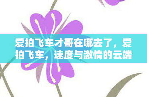 爱拍飞车才哥在哪去了,爱拍飞车,速度与激情的云端之旅 爱拍飞车才哥在哪去了,爱拍飞车,速度与激情的云端之旅