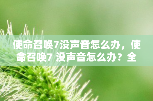 使命召唤7没声音怎么办,使命召唤7 没声音怎么办?全面排查与解决攻略 使命召唤7没声音怎么办,使命召唤7 没声音怎么办?全面排查与解决攻略
