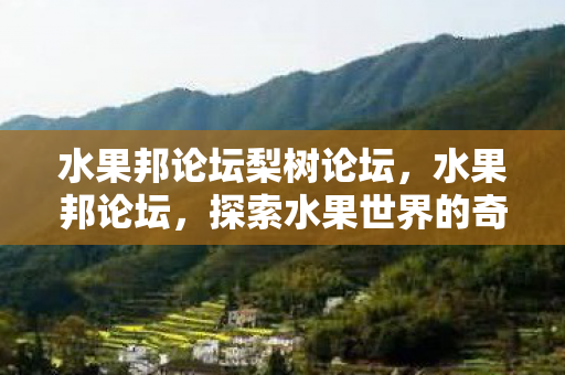水果邦论坛梨树论坛,水果邦论坛,探索水果世界的奇妙之旅 水果邦论坛梨树论坛,水果邦论坛,探索水果世界的奇妙之旅