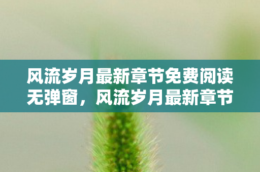 风流岁月最新章节免费阅读无弹窗,风流岁月最新章节,时光深处的温柔 风流岁月最新章节免费阅读无弹窗,风流岁月最新章节,时光深处的温柔