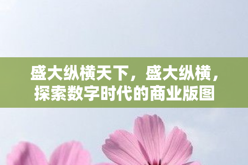 盛大纵横天下，盛大纵横，探索数字时代的商业版图