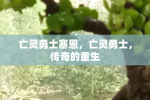 亡灵勇士塞恩,亡灵勇士,传奇的重生 亡灵勇士塞恩,亡灵勇士,传奇的重生