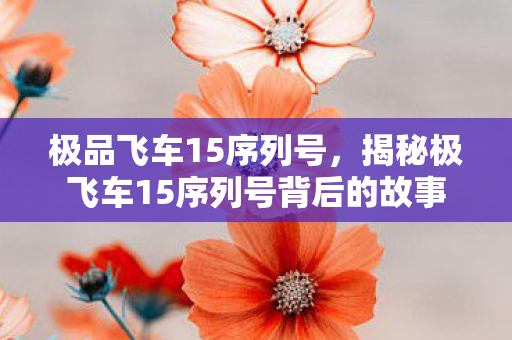 极品飞车15序列号，揭秘极飞车15序列号背后的故事