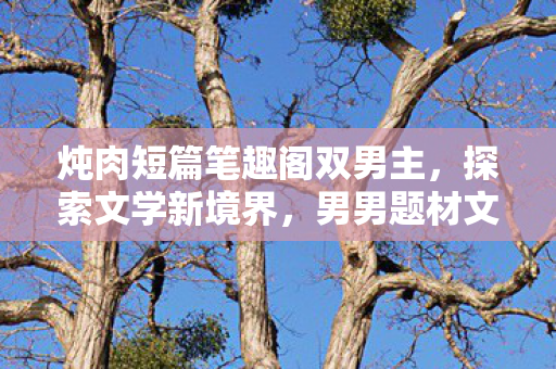 炖肉短篇笔趣阁双男主,探索文学新境界,男男题材文学的魅力与挑战 炖肉短篇笔趣阁双男主,探索文学新境界,男男题材文学的魅力与挑战