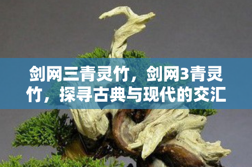 剑网三青灵竹，剑网3青灵竹，探寻古典与现代的交汇点