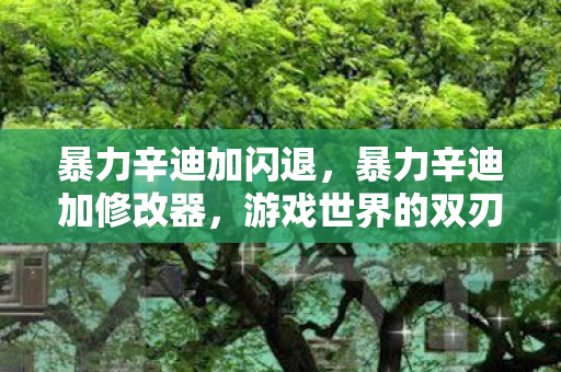 暴力辛迪加闪退，暴力辛迪加修改器，游戏世界的双刃剑