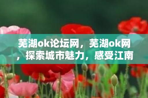 芜湖ok论坛网，芜湖ok网，探索城市魅力，感受江南水乡风情